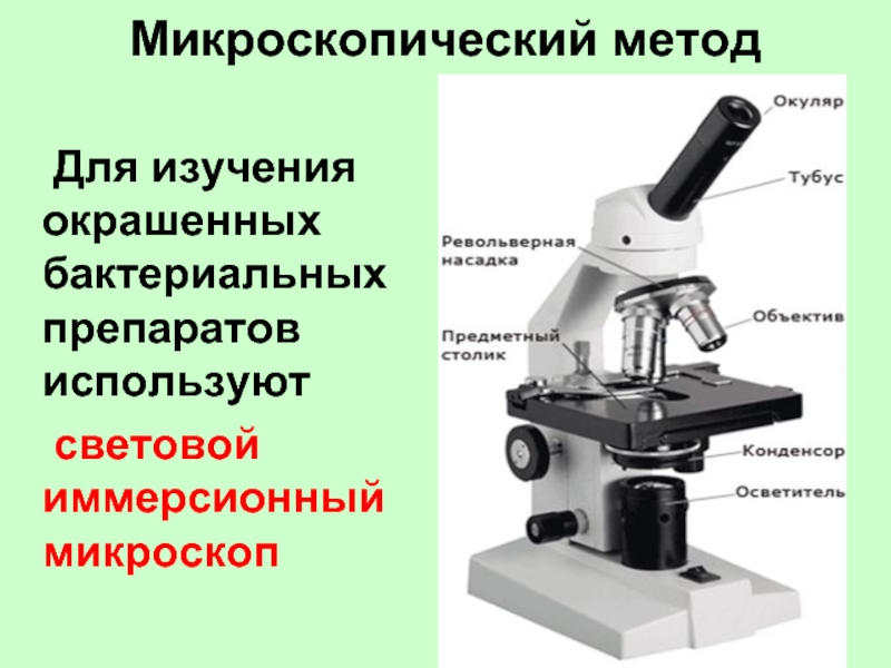 Образцы для микроскопа