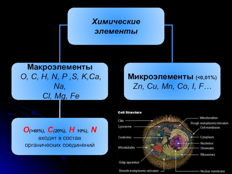 Химический состав звезд проект