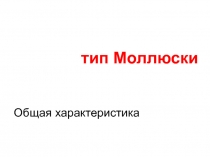 тип Моллюски