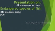 Presentation on: