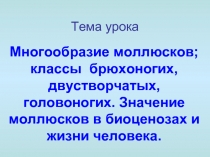 Многообразие моллюсков; классы брюхоногих, двустворчатых, головоногих. Значение моллюсков в биоценозах и жизни человека. 