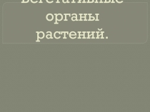 Вегетативные органы растений