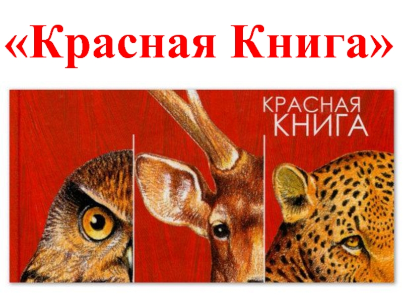 Красная книга