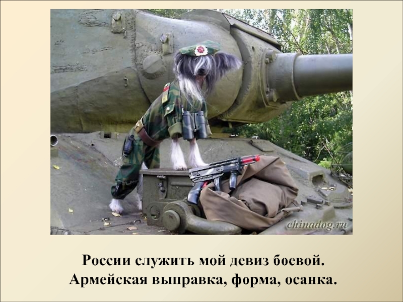 России служить мой девиз боевой.   Армейская выправка, форма, осанка.