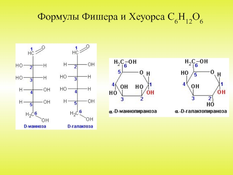 Фруктоза формула фишера. Галактоза формула Хеуорса. Моносахариды структурные формулы Фишера и Хеуорса. Д манноза формула Фишера. Проекционные формулы Фишера и Хеуорса.