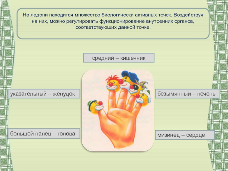 Большой палец легкие. Пальцы и органы. Пальцы и органы взаимосвязь. Органы на пальцах рук. Органы на ладони.