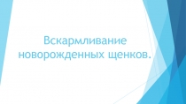 Вскармливание новорожденных щенков