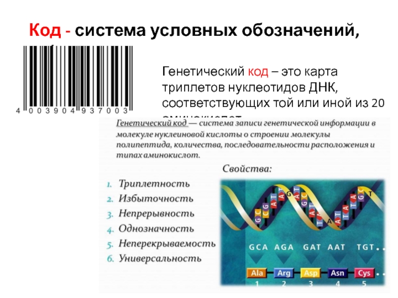 Определить код человека. Генетический код. Генетические коды человека. Коды ДНК. Ген генетический код.