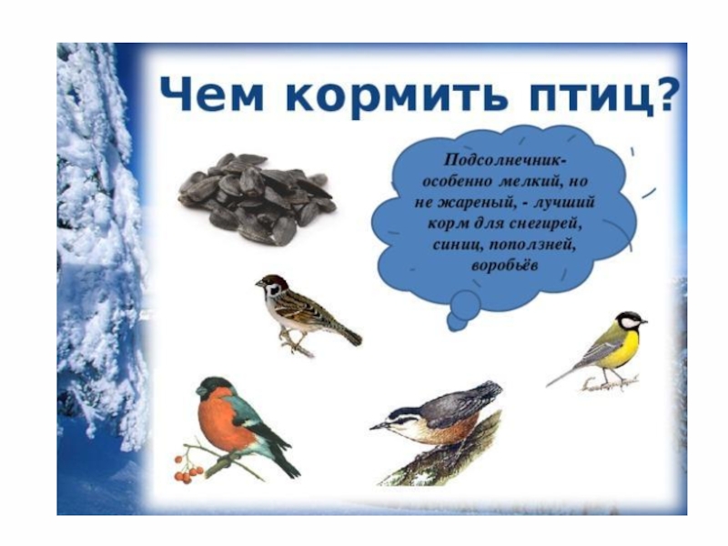 Стихотворения птицы зимой. Стихи про зимующих птиц. Птицы зимой. Стихи про птиц зимой. Стихотворение про зимующих птиц.