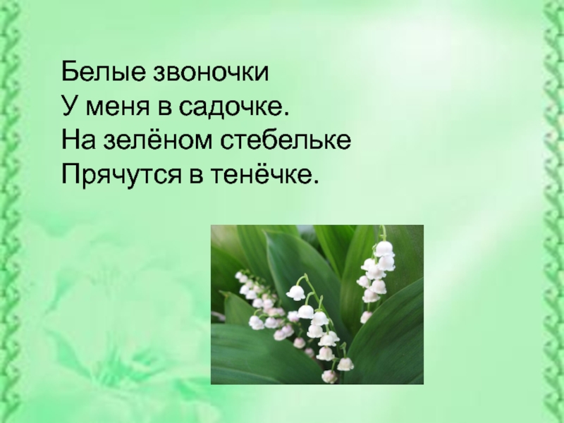 Песня женщины про ландыши. Презентация Ландыши 1 класс.