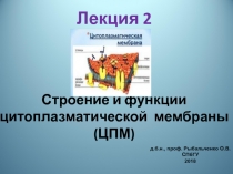 Лекция 2 Строение и функции цитоплазматической мембраны (ЦПМ)