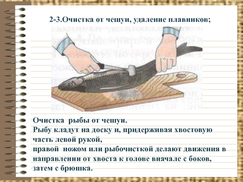 Последовательность кулинарной обработки рыбы. Порядок обработки рыбы. Обработка рыбы кратко. Обработка Бесчешуйчатой рыбы схема. Схема обработки чешуйчатой рыбы.