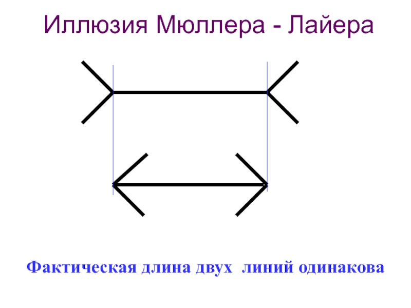 Линия одинаковых