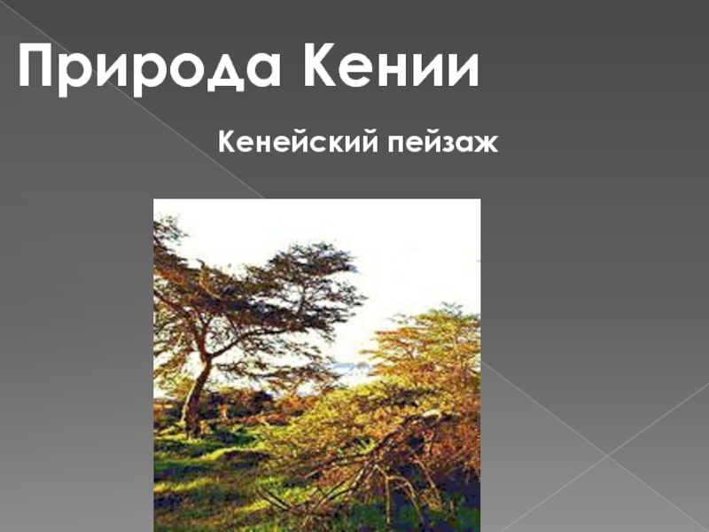 11 класс география кения презентация