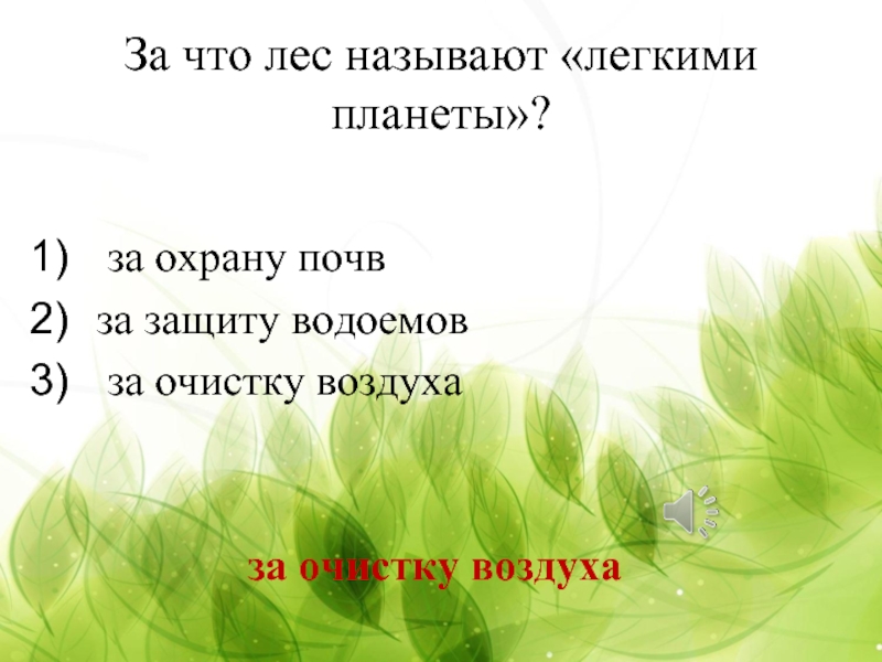 Лес зовет. За что лес называют легкими планеты. Охрана леса викторина. Леса называют легкими планеты потому что они. 2. За что лес называют «лёгкими планеты»?.