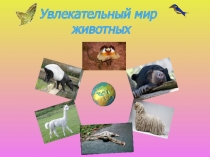 Увлекательный мир животных