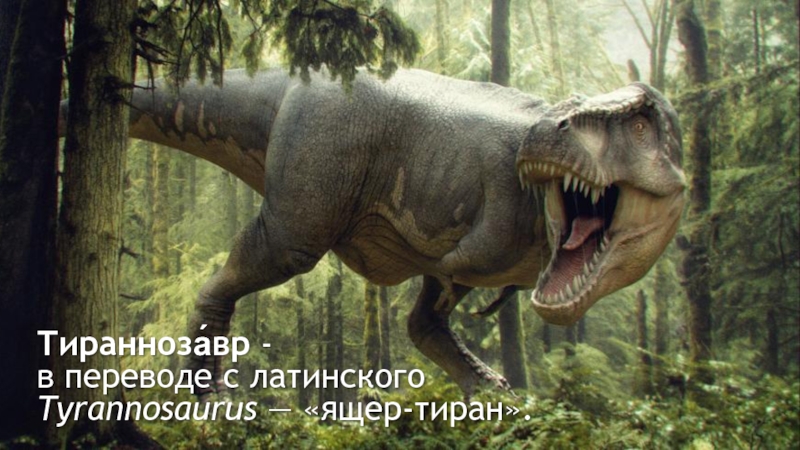 Презентация Древний вид динозавров - Тираннозавр
