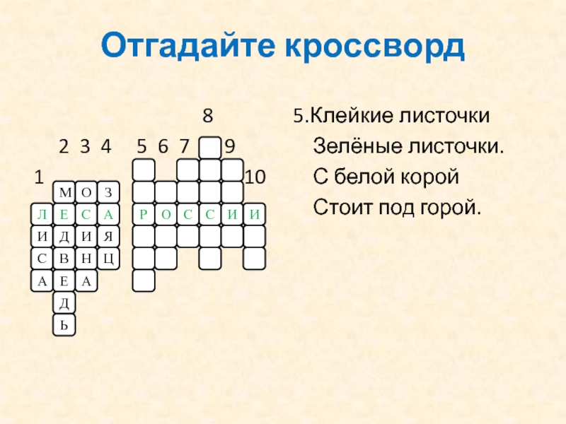 Кроссворды а4. Отгадай кроссворд. Кроссворд на тему лес.