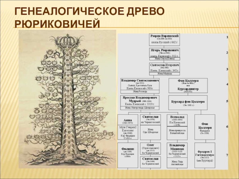 Генеалогическое дерево рюриковичей в картинках