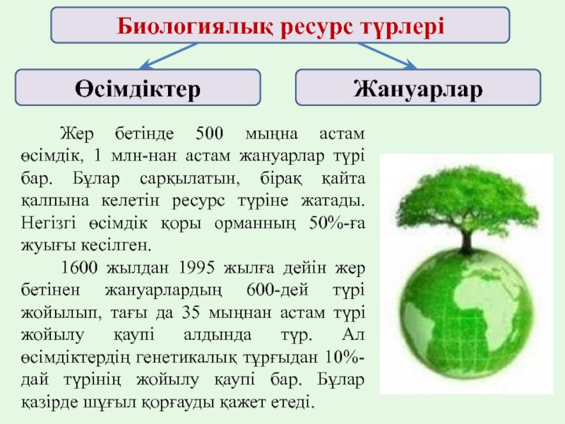 Табиғи ресурстардың жіктелуі 7 сынып презентация