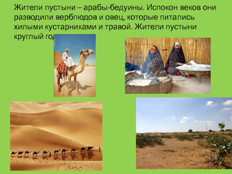 Жизнь и быт в пустыне. Жители пустыни – арабы – бедуины. Занятия людей пустыни. Деятельность ЛЮДЕЦВ пуствн. Занятия жителей в пустыне.