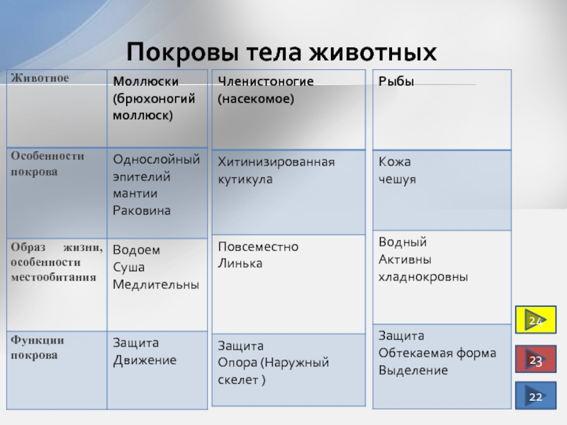 Покровы тела 7 класс биология презентация