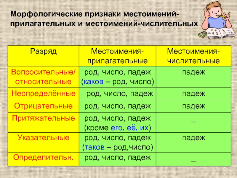 Род морфологический признак. Постоянные морфологические признаки местоимения. Местоимение морфологические признаки местоимений. Непостоянные признаки местоимения. Указательные местоимения прилагательные.