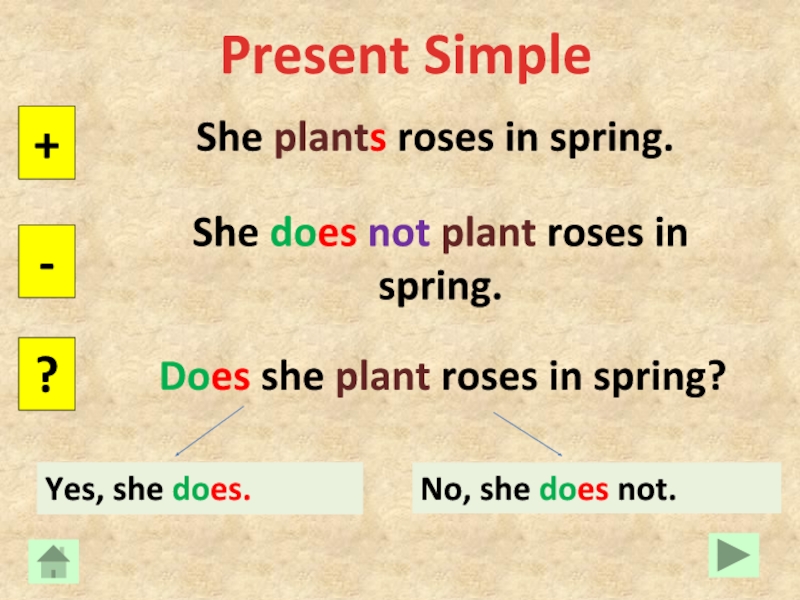 Present simple spring