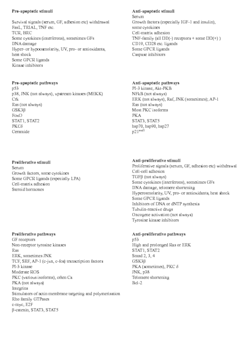 Презентация CellCycle2 regulatory pathw (2 pages)