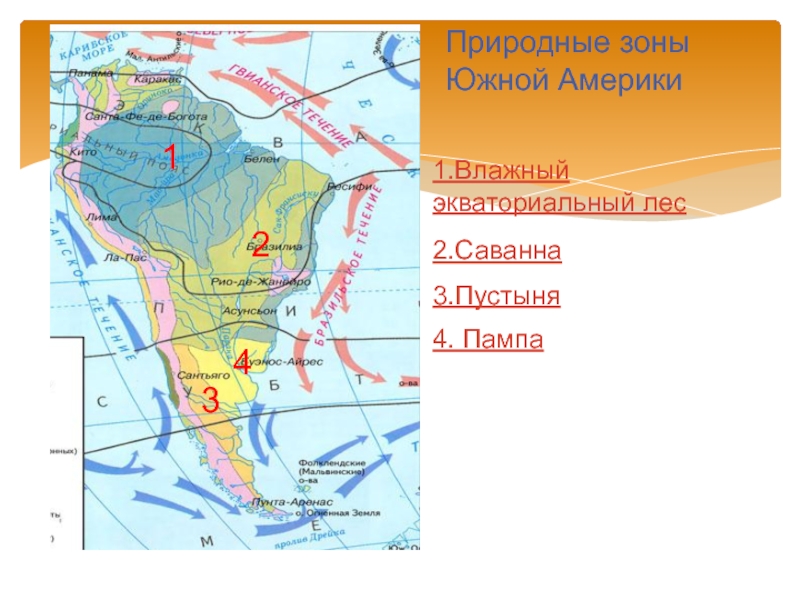 Зоны южной америки