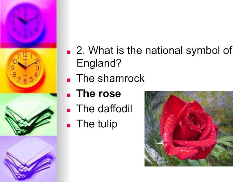 The shamrock is the national symbol of. What is the symbol of England ответ на английском. What is the symbol of England? (Rose? Shamrock? Daffodil? Thistle?) Перевод. The Shamrock the Rose the Daffodil the Tulip. 7. What is the symbol of England?.