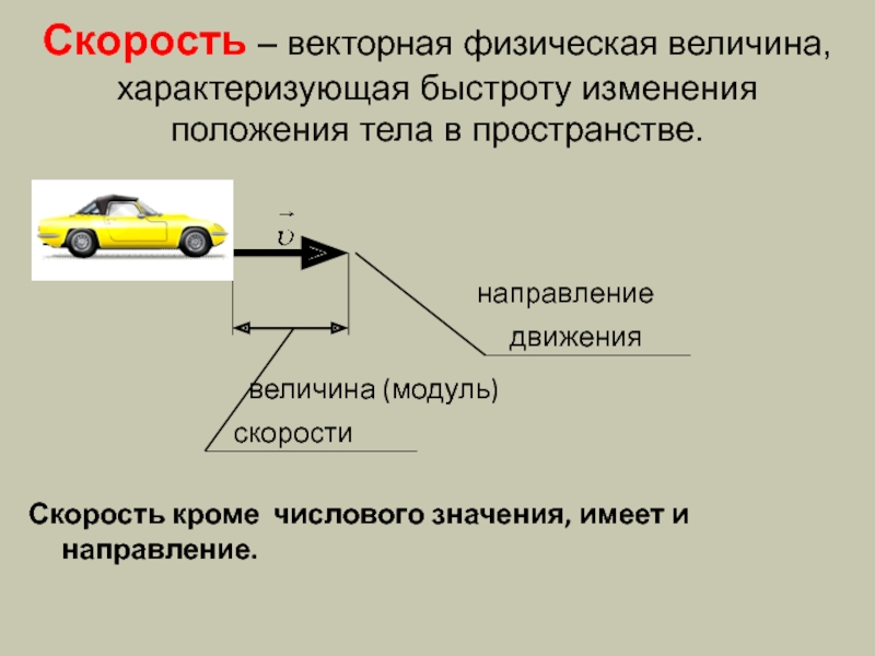 Вектор скорости это. Скорость физическая величина. Скорость Векторная величина. Векторные физические величины. Физическая величина характеризующая быстроту изменения.