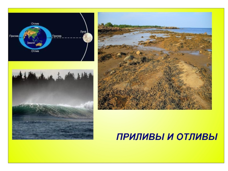 Приливы океана причины. Приливы и отливы. Приливы и отливы анимация. Приливы и отливы Луна. Океанические приливы.