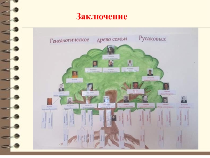 География моей семьи проект