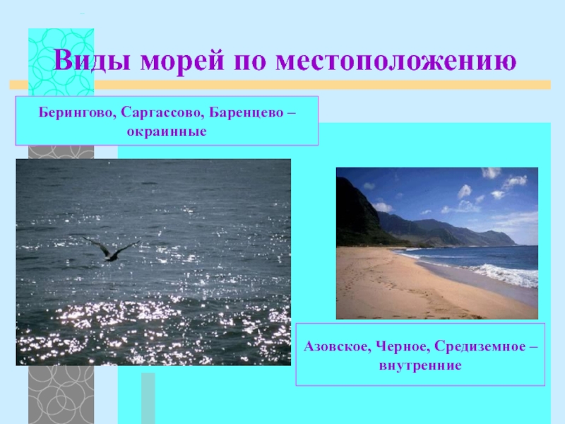 Внутренними морями являются. Саргассово море внутреннее или окраинное. Саргассово море это внутреннее или окраинное море. Внутренние окраинные моря Саргассово. Берингово море окраинное.