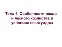 Особенности лесов и лесного хозяйства в условиях лесотундры 
