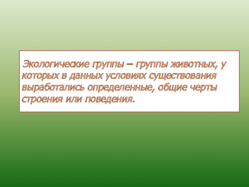 Экологические группы животных презентация 7 класс