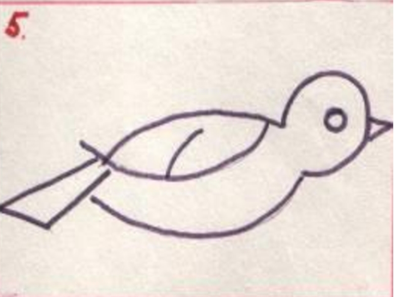 Рисование скворец в старшей группе. Красивая птичка рисование в средней группе. Этапы рисования скворца. Рисование в средней группе красивая птичка карандашом. Поэтапное рисование скворца в старшей группе.