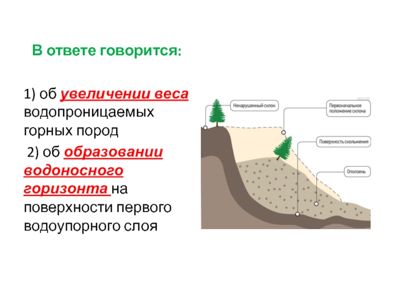 Водоносные горные породы