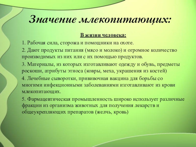 Значение млекопитающих в жизни человека схема