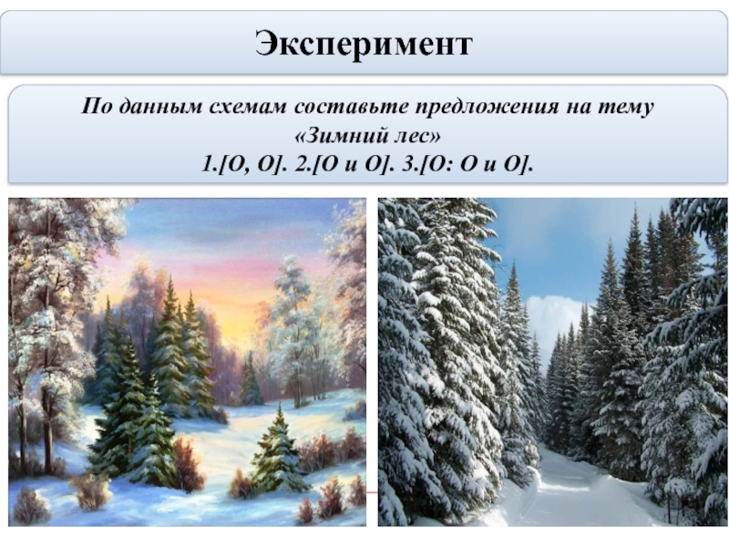 Лес составить предложение. Предложения на зимнюю тему. Предложения на тему зимний лес. 3 Предложения на тему зима. Придумать предложение на тему зима.