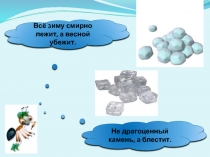 Презентация по окружающему миру для 1 класса по теме 