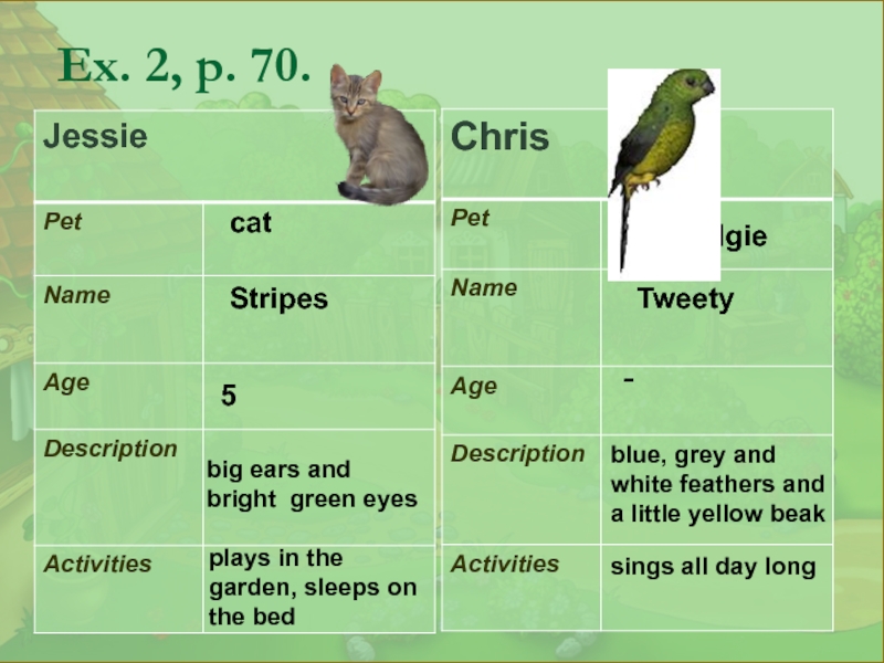 This is my animal. Презентации на тему Pets. Pets на английском. Животные на английском Budgie. Проекты на тему my Pet.