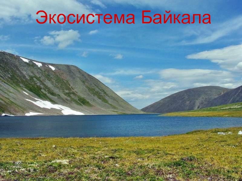 Презентация Экосистема Байкала