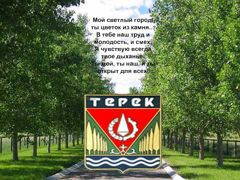 Терек