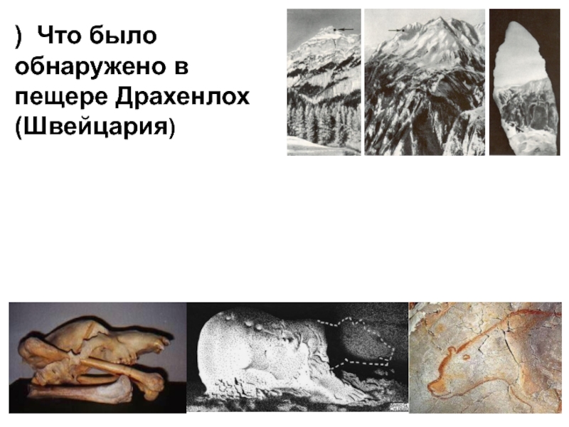 ) Что было обнаружено в пещере Драхенлох (Швейцария )