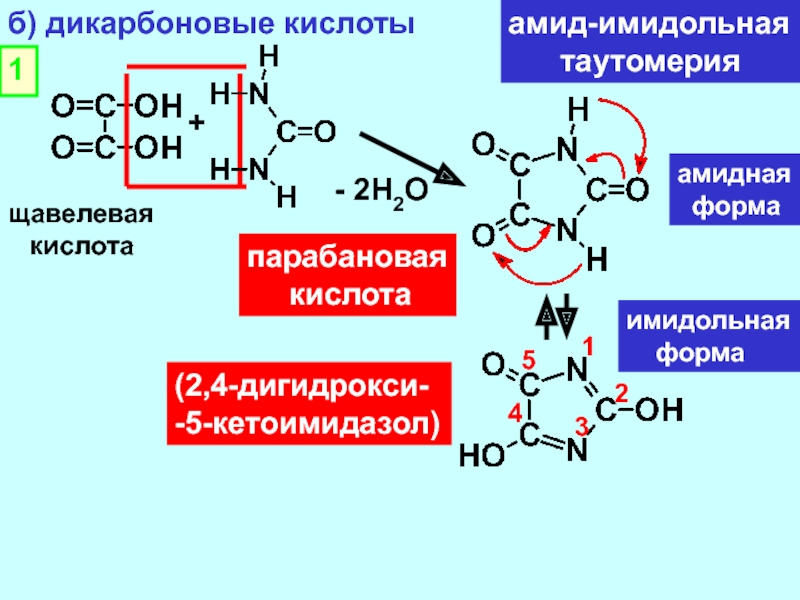 B кислоты. Амид-имидольная таутомерия. Амид щавелевой кислоты. Амид щавелевой кислоты получение. Парабановая кислота.