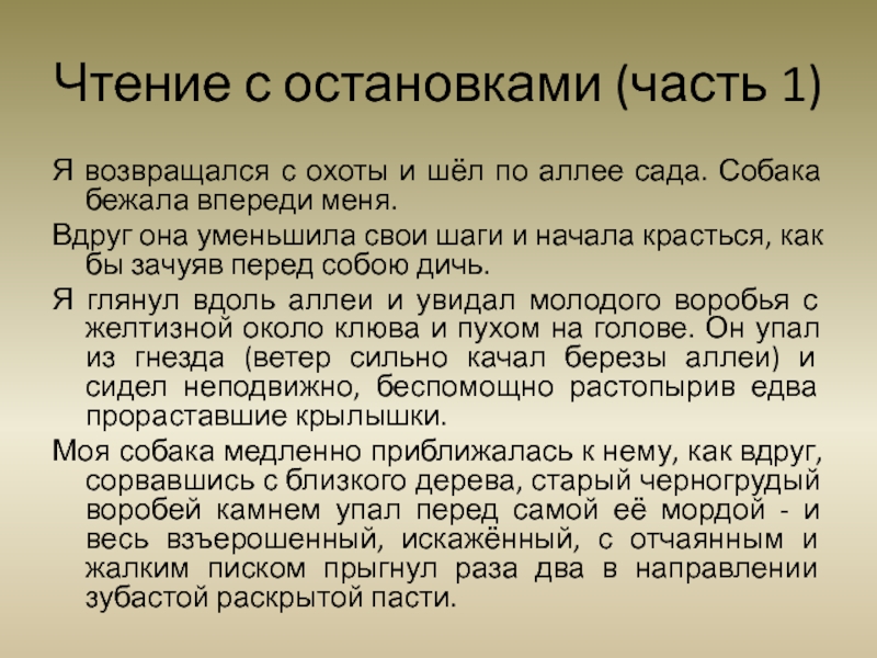 Тургенев стихотворение в прозе воробей. Воробей Тургенев стих в прозе. Я возвращался с охоты и шёл по аллее сада собака бежала впереди меня. Презентация Воробей Тургенев 3 класс. Тургенев Воробей стихотворение в прозе.