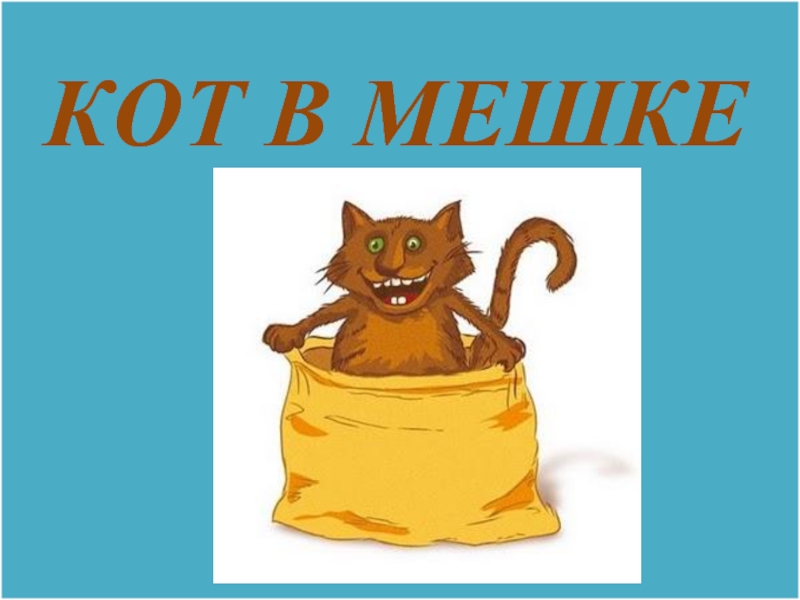 КОТ В МЕШКЕ