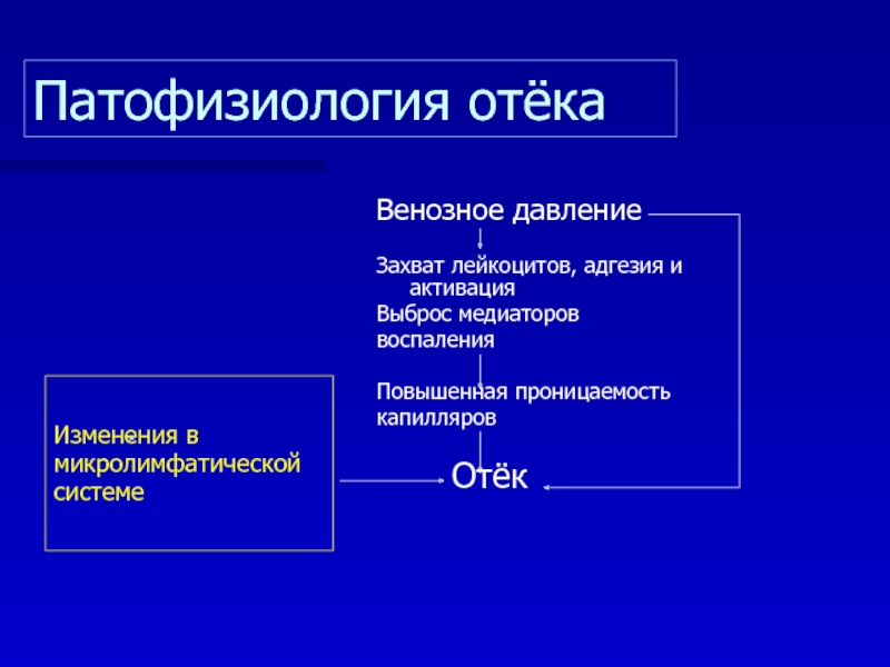 Патфиз. Отеки патофизиология. Механизмы отеков патофизиология. Механизм формирования отека патофизиология. Отёк патологическая физиология.